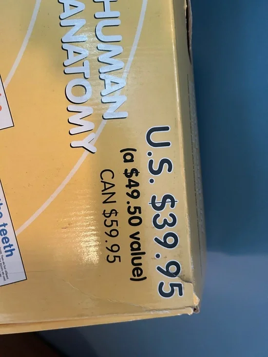 Human Anatomy Posters Set - Yellow - - Picture 5 of 13